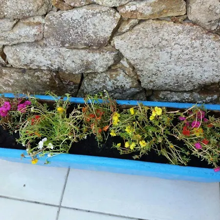 Casa vacanze Domus Caerula *